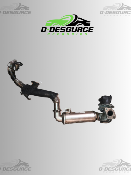 EGR con Enfriador para Citroen C4 – Motor 9HX (DV6) – 789920
