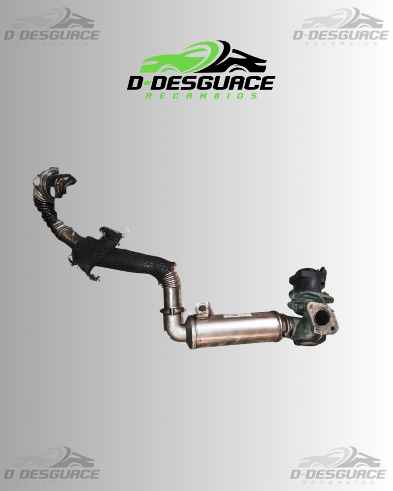 EGR con Enfriador para Citroen C4 – Motor 9HX (DV6) – 789920