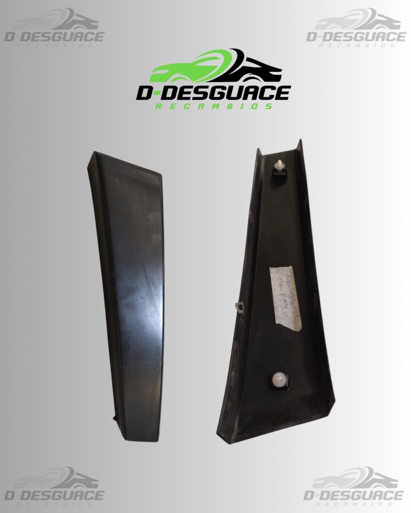 Par de Molduras de Puertas Derecha (Estribera) para Citroën C4 – 2004–2011 – 9653631677
