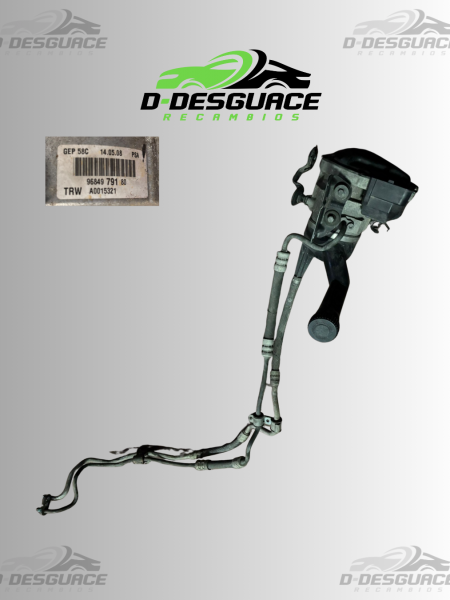 Bomba Dirección y Tubos Peugeot 308 1.6 HDi – Ref. TRW A0015321